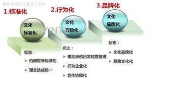 当前企业加强企业文化建设的落脚点和着力点应该放在什么地方